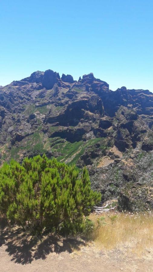 Funchal Bay View Holiday Rental Εξωτερικό φωτογραφία